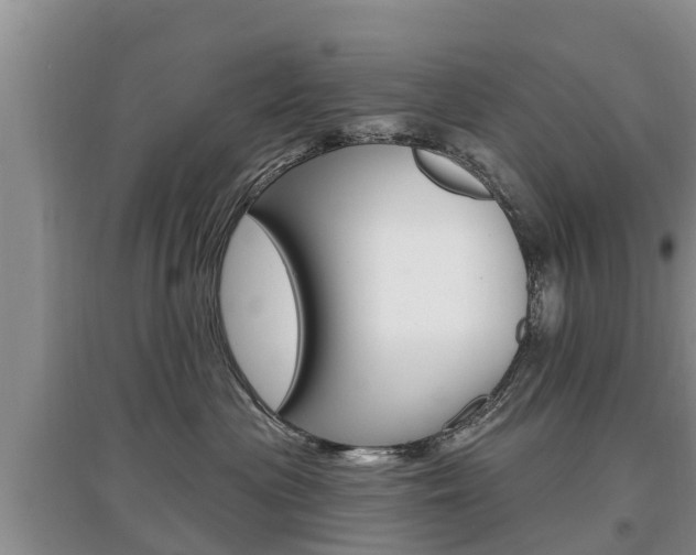 X0000097910477200803141033