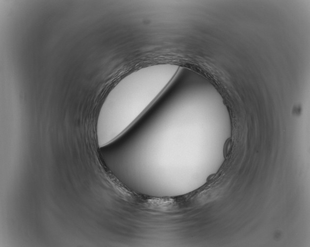 X0000097910480200803141033