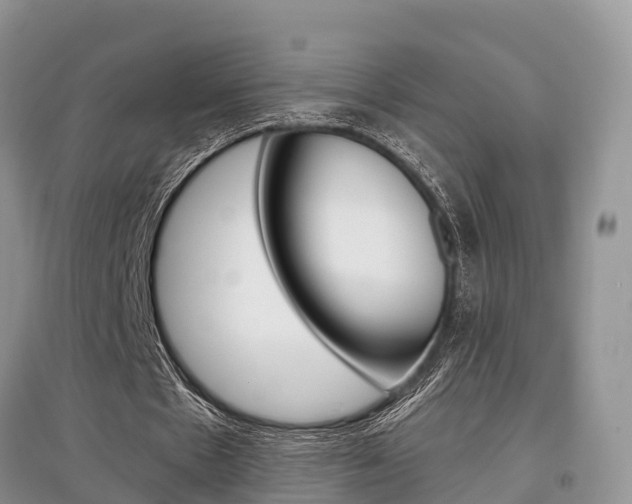X0000097910481200803141032