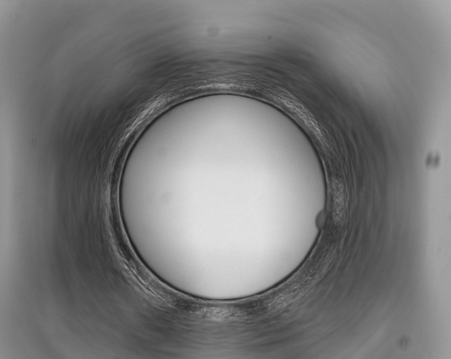 X0000097910482200803141032