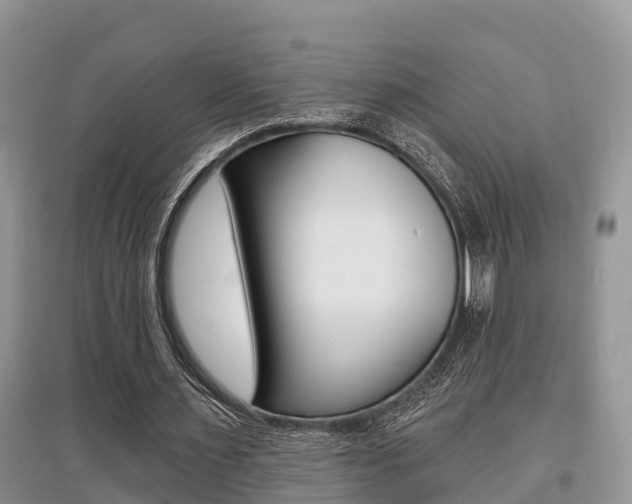 X0000097910483200803141032