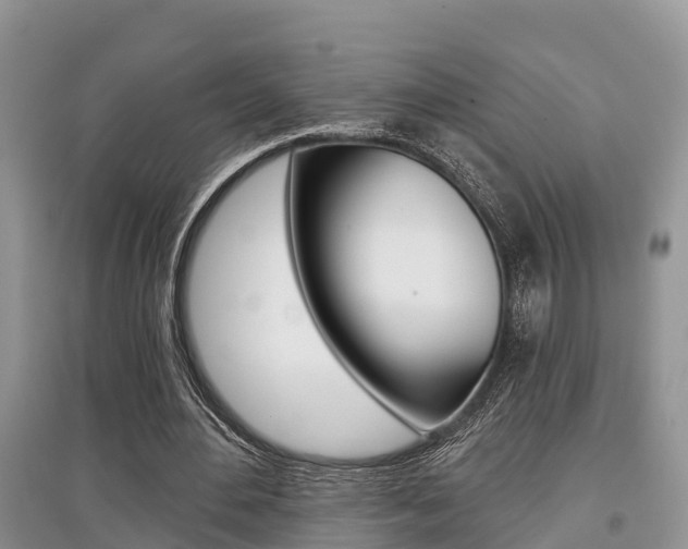 X0000097910484200803141032