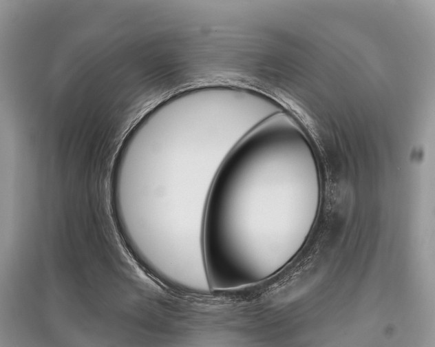 X0000097910485200803141032