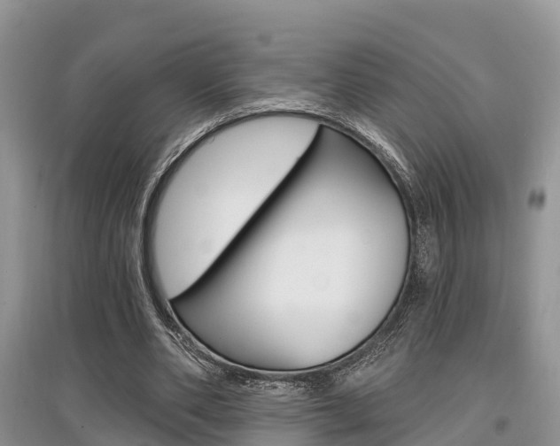 X0000097910486200803141032