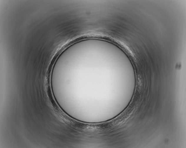 X0000097910487200803141032