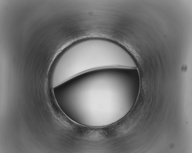 X0000097910488200803141032