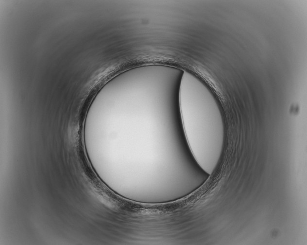X0000097910490200803141032