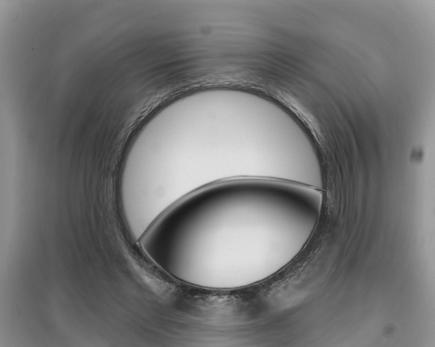 X0000097910493200803141032