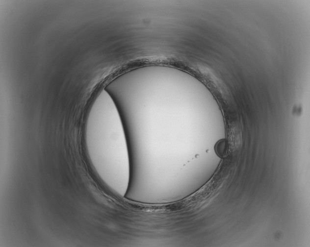X0000097910495200803141032