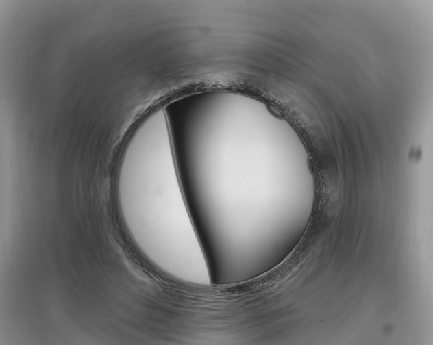 X0000097910496200803141032
