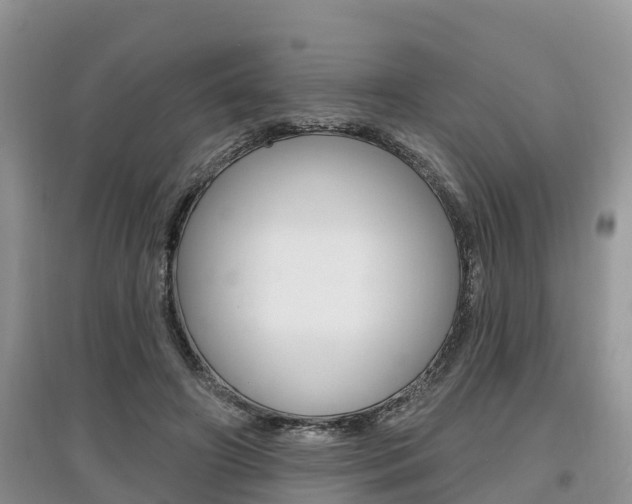 X0000097910498200803141032
