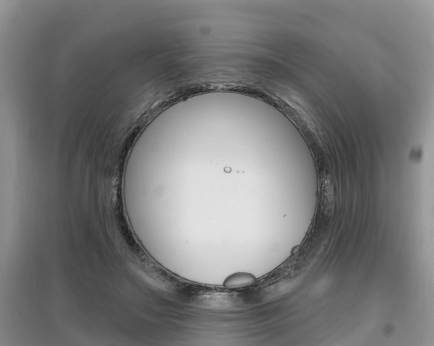 X0000097910499200803141032