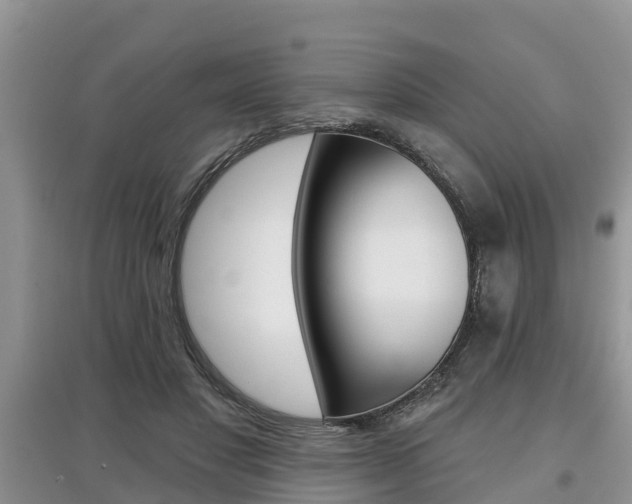 X0000097910501200803141032