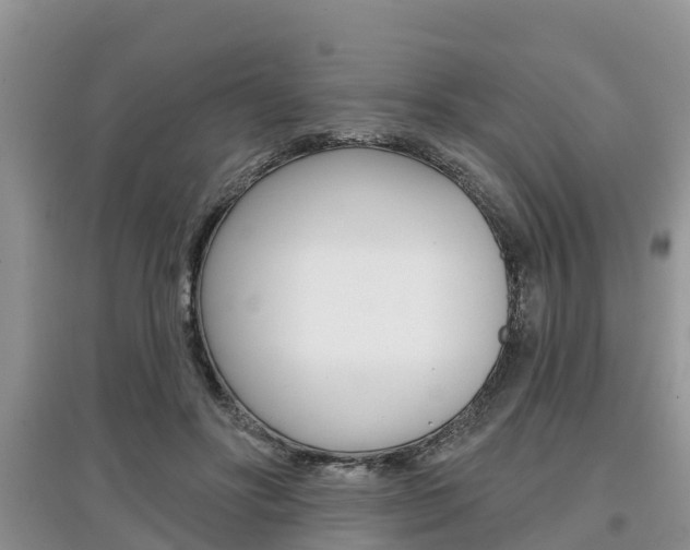 X0000097910502200803141032