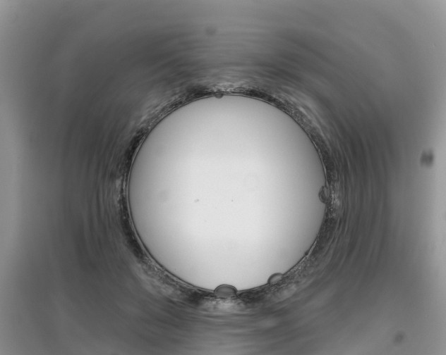 X0000097910503200803141032