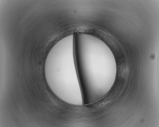 X0000097910505200803141032