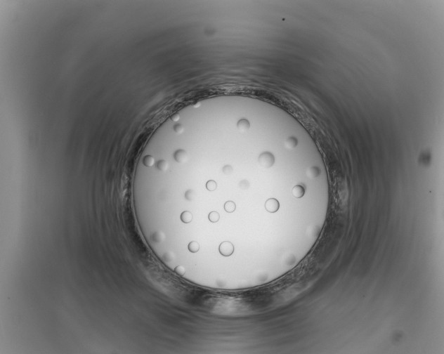 X0000097910507200803141032