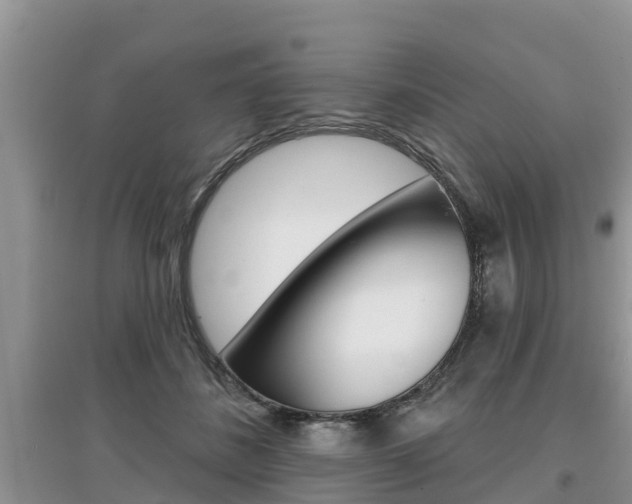 X0000097910508200803141032