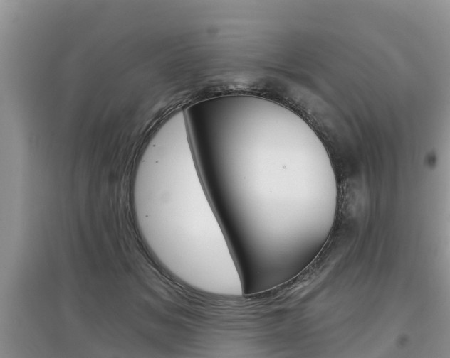 X0000097910509200803141032