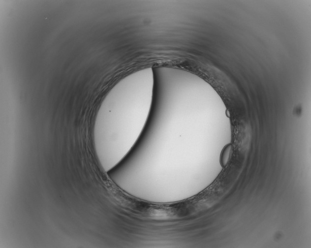 X0000097910510200803141032