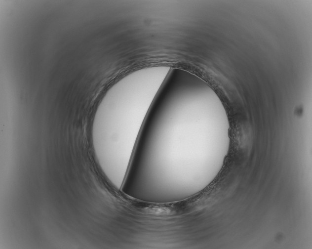 X0000097910512200803141032