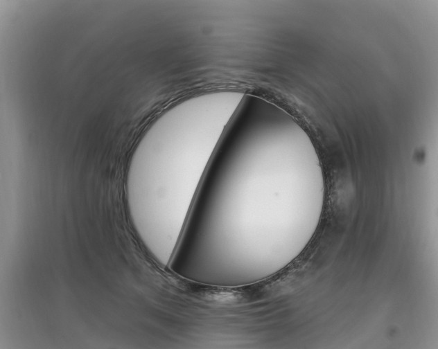 X0000097910513200803141032