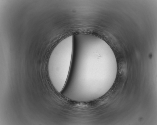 X0000097910515200803141032