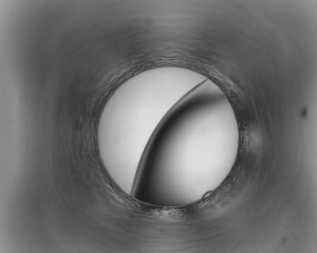 X0000097910517200803141032