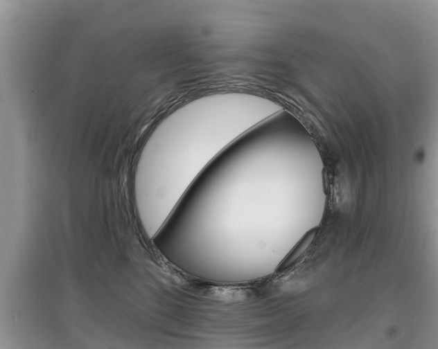 X0000097910520200803141032