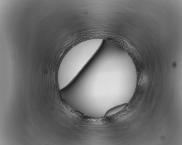 X0000097910524200803141032