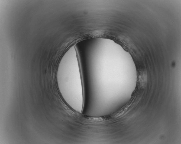 X0000097910525200803141032
