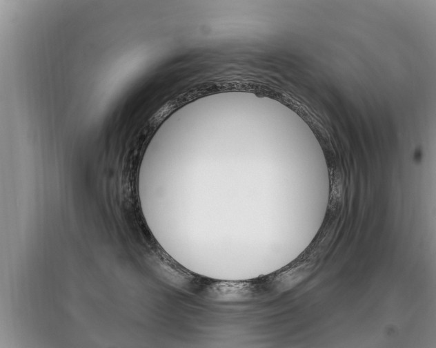 X0000097910526200803141032