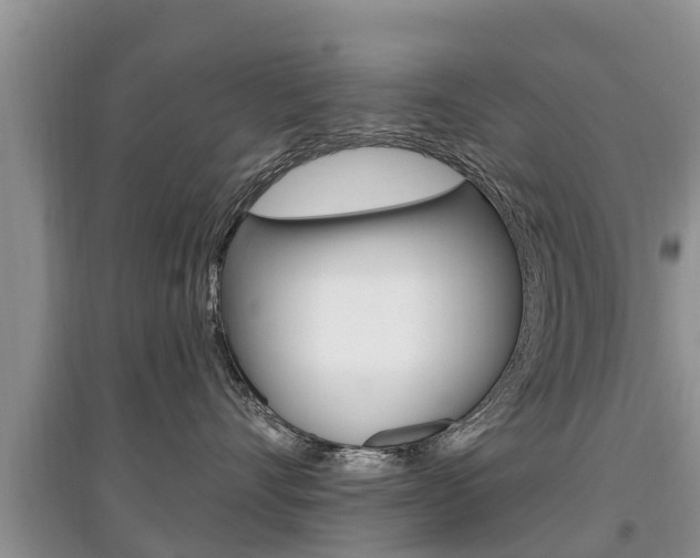 X0000097910528200803141032