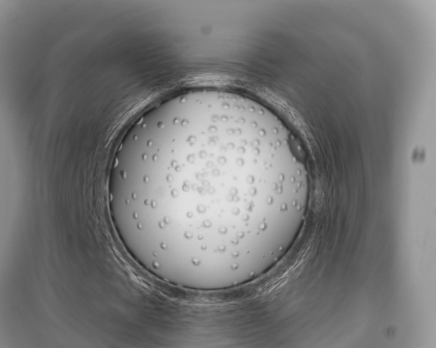 X0000097910529200803141031