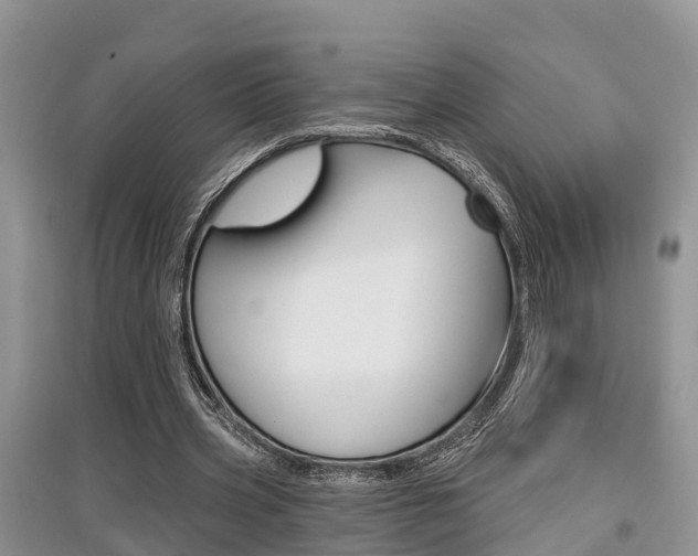 X0000097910533200803141031