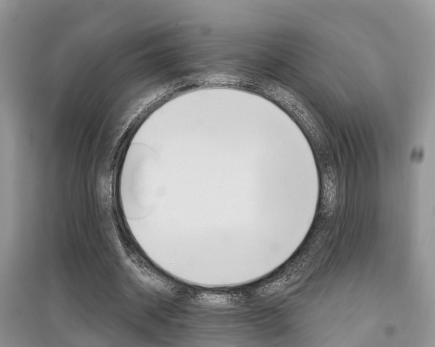 X0000097910534200803141031