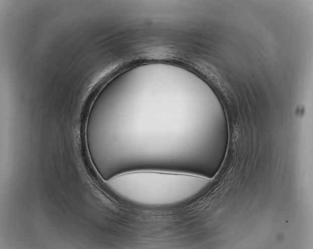 X0000097910535200803141031