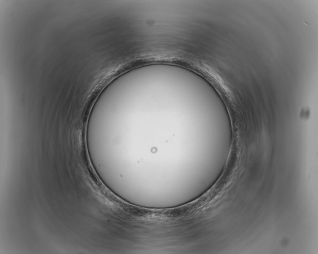 X0000097910537200803141031