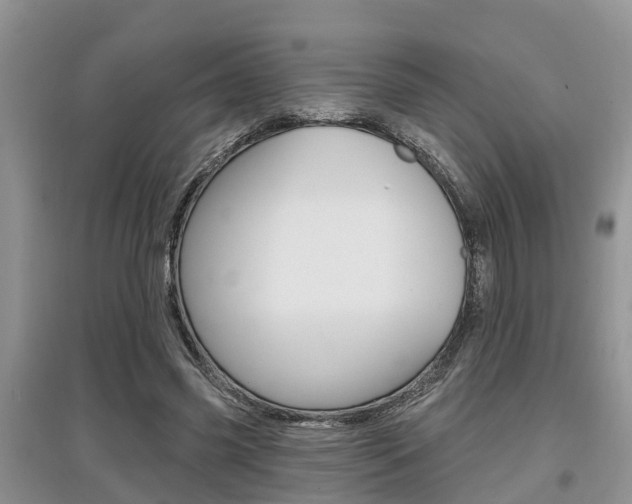 X0000097910541200803141031