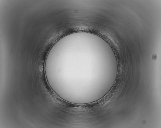 X0000097910545200803141031