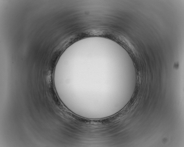 X0000097910549200803141031