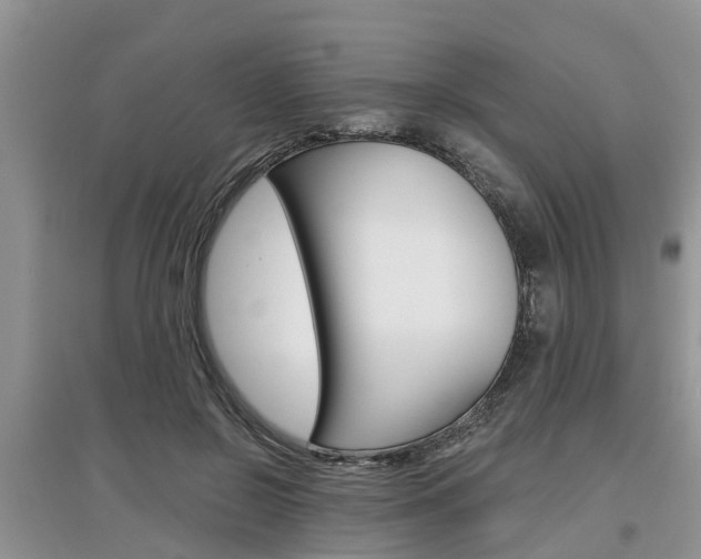 X0000097910550200803141031