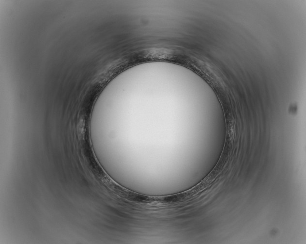 X0000097910551200803141031