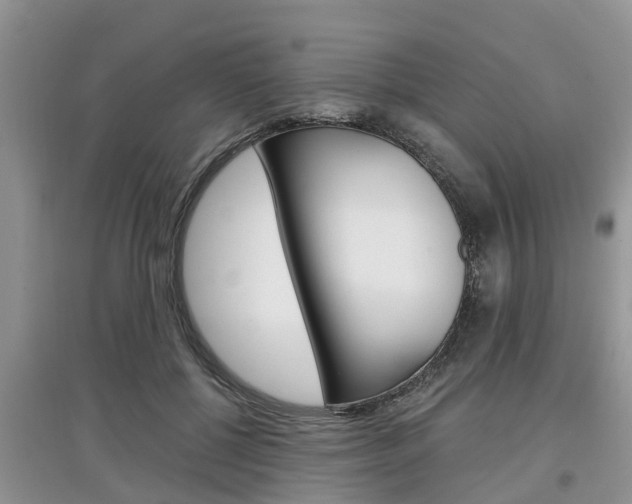 X0000097910552200803141031