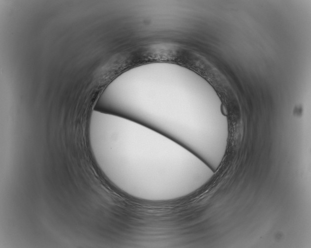 X0000097910553200803141031