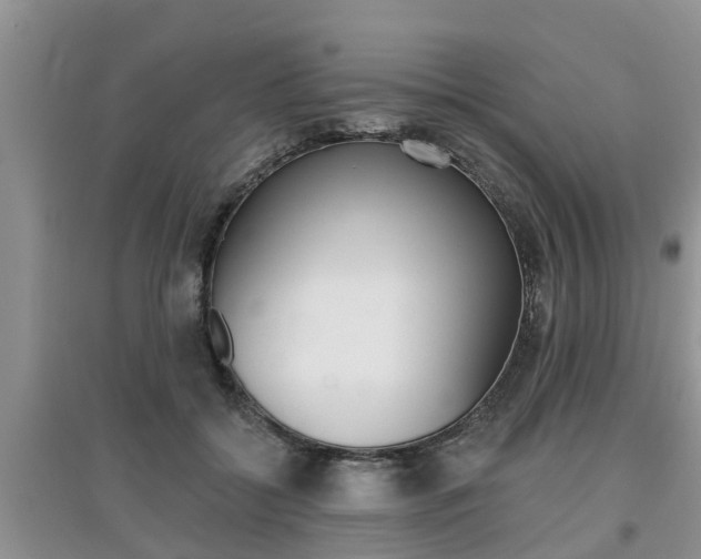 X0000097910556200803141031
