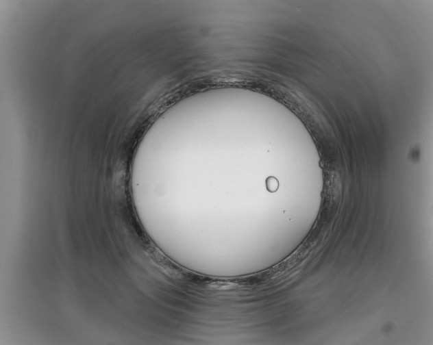 X0000097910557200803141031