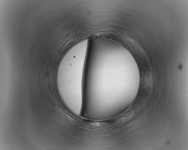 X0000097910558200803141031
