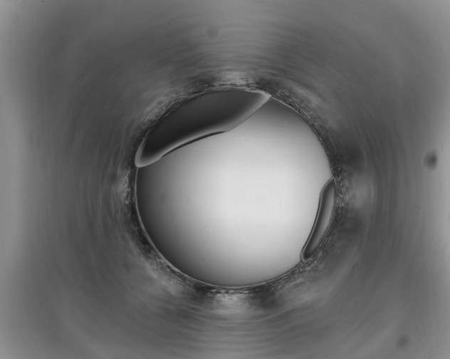 X0000097910560200803141031
