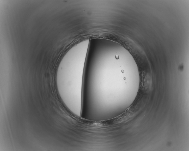 X0000097910562200803141031